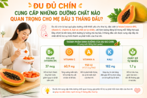 Đu Đủ Chín Cung Cấp Những Dưỡng Chất Nào Quan Trọng Cho Mẹ Bầu 3 Tháng Đầu?