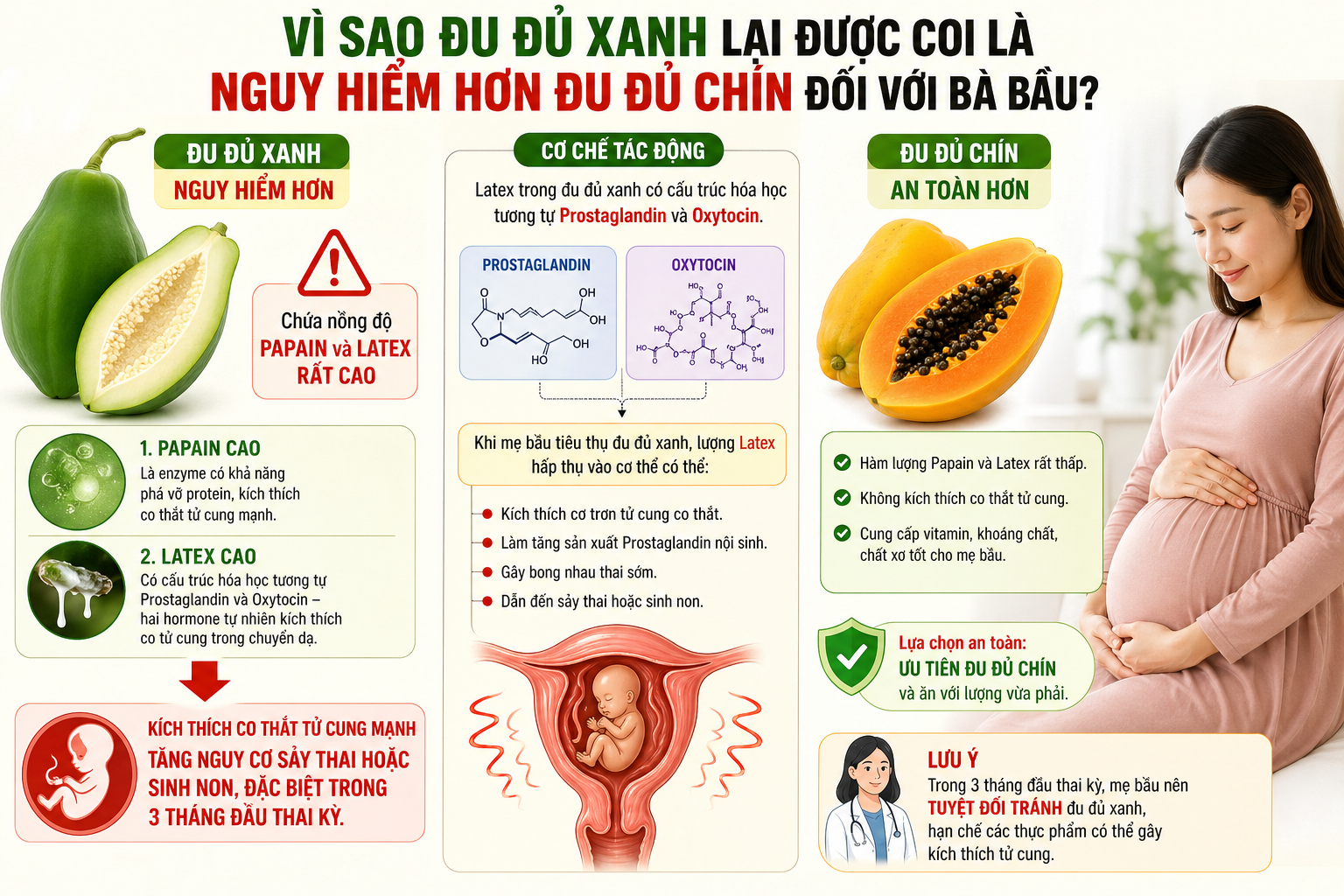 Vì Sao Đu Đủ Xanh Lại Được Coi Là Nguy Hiểm Hơn Đu Đủ Chín Đối Với Bà Bầu?